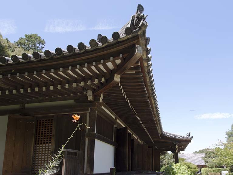 東大寺と浄瑠璃寺
