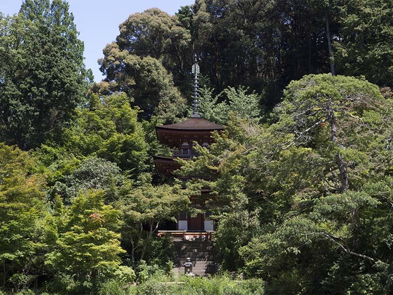 東大寺と浄瑠璃寺