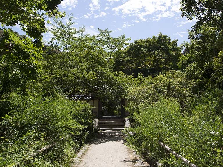 東大寺と浄瑠璃寺