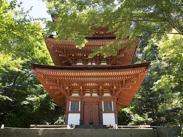 東大寺と浄瑠璃寺