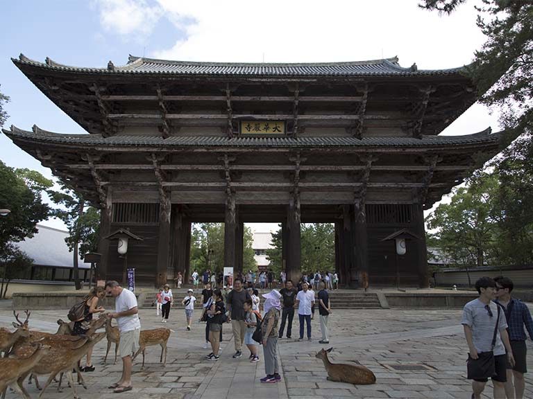東大寺と浄瑠璃寺