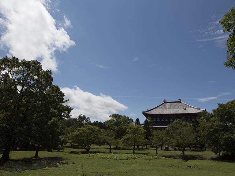 東大寺と浄瑠璃寺