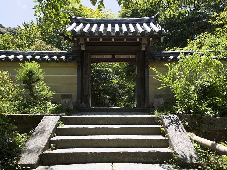 東大寺と浄瑠璃寺