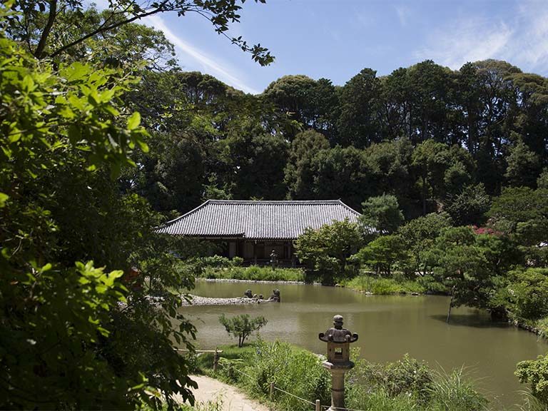 東大寺と浄瑠璃寺