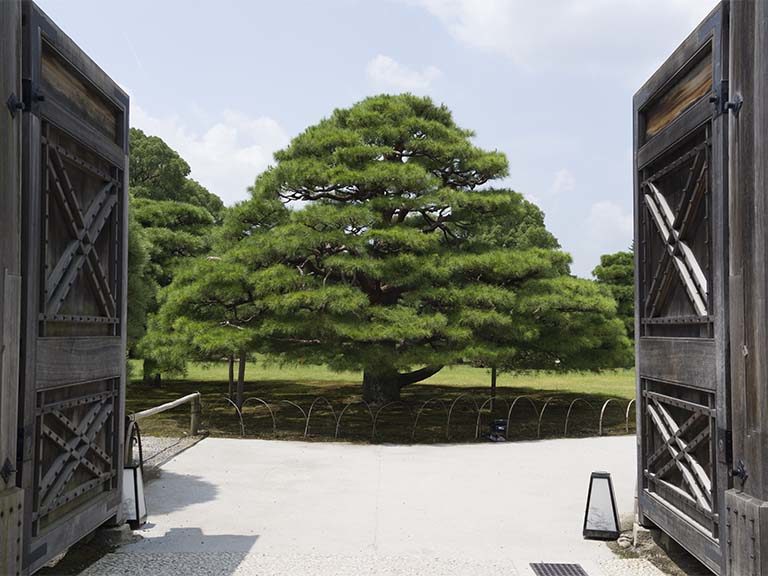 元離宮二条城