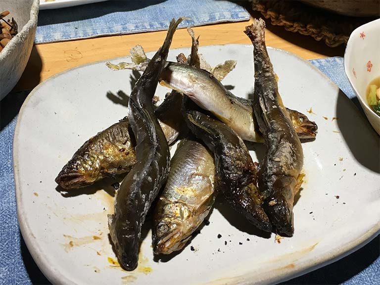 初釣り
