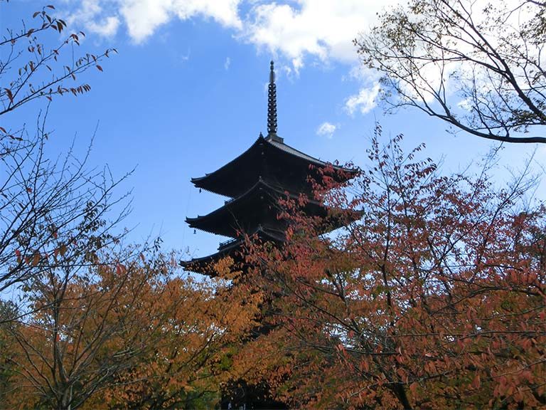 京都造形芸術大学フィールドワーク