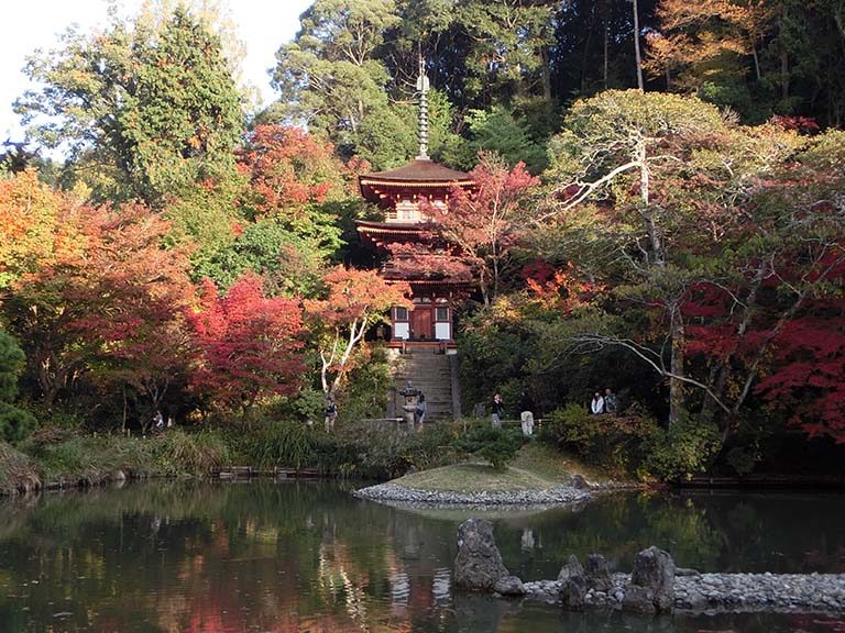 京都造形芸術大学フィールドワーク