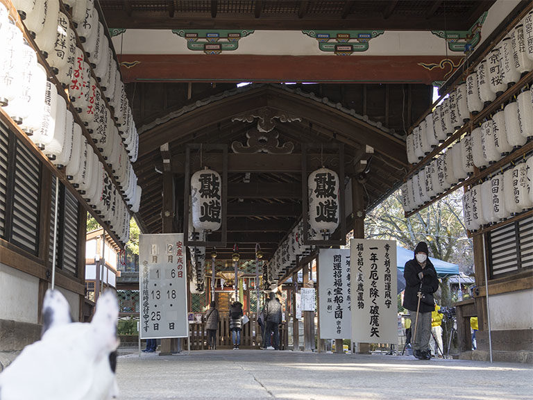 初詣:藤森神社、許波多神社、伏見稲荷、御香宮