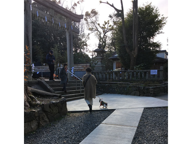 初詣:藤森神社、許波多神社、伏見稲荷、御香宮