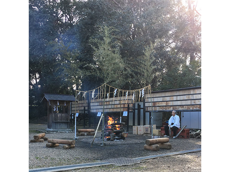 初詣:藤森神社、許波多神社、伏見稲荷、御香宮