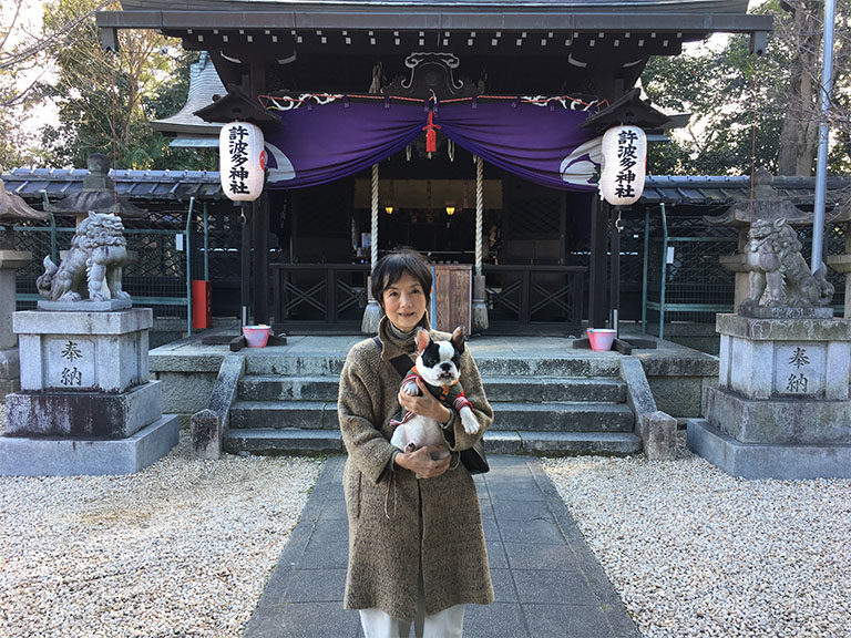 初詣:藤森神社、許波多神社、伏見稲荷、御香宮