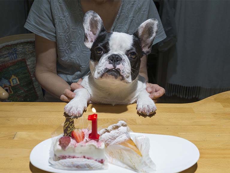 くりの誕生日
