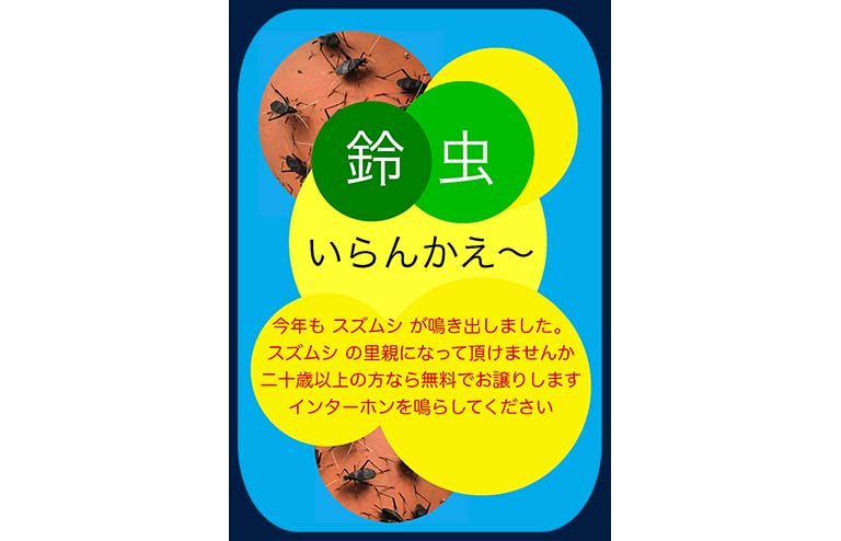 鈴虫いらんかえ〜